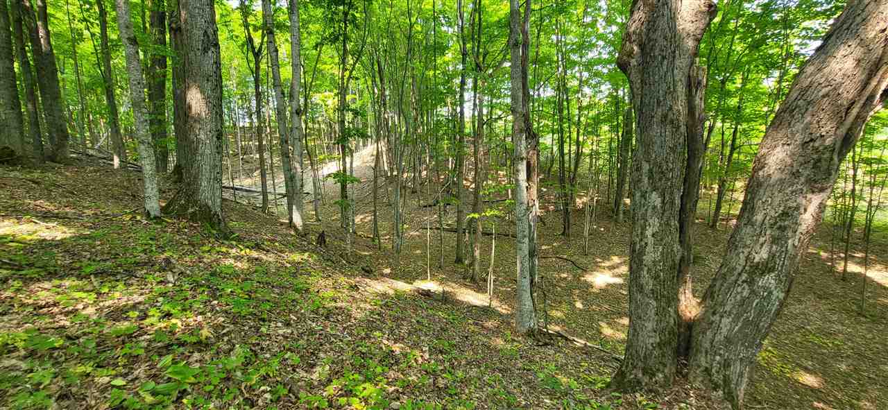 Tbd Veldkamp Lane Central Lake MI 49622