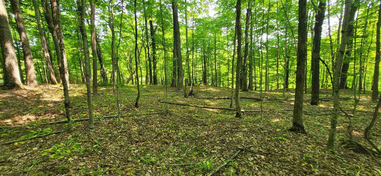 Tbd Veldkamp Lane Central Lake MI 49622