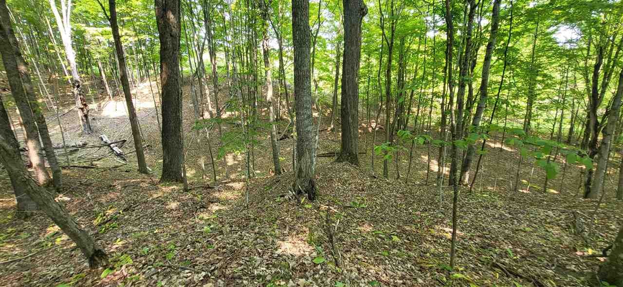 Tbd Veldkamp Lane Central Lake MI 49622