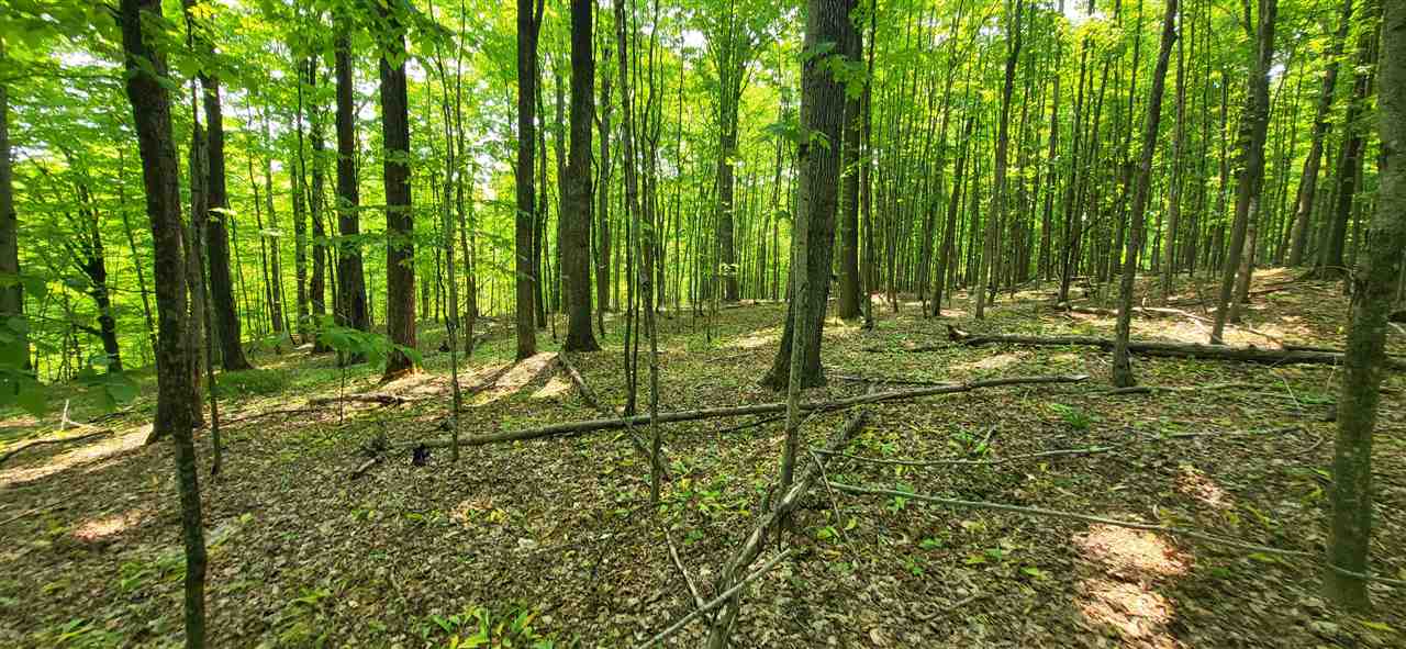 Tbd Veldkamp Lane Central Lake MI 49622