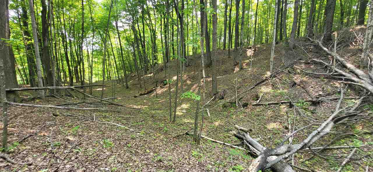 Tbd Veldkamp Lane Central Lake MI 49622