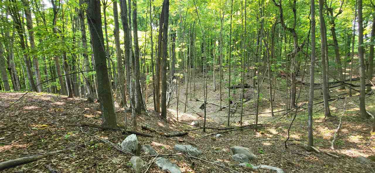 Tbd Veldkamp Lane Central Lake MI 49622