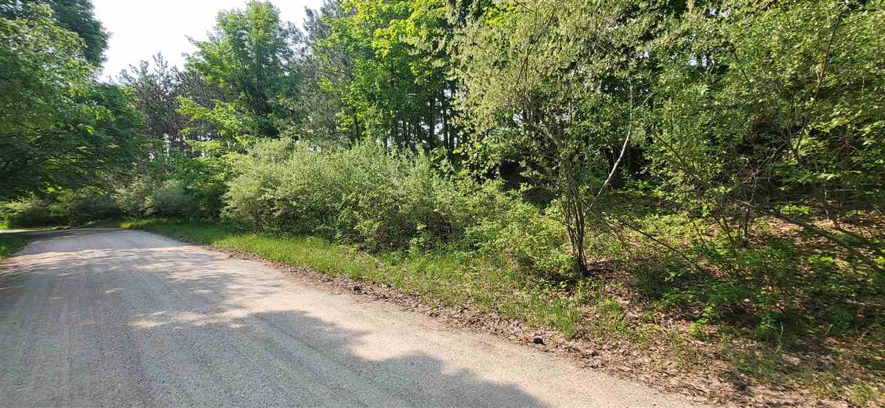 Tbd Veldkamp Lane Central Lake MI 49622