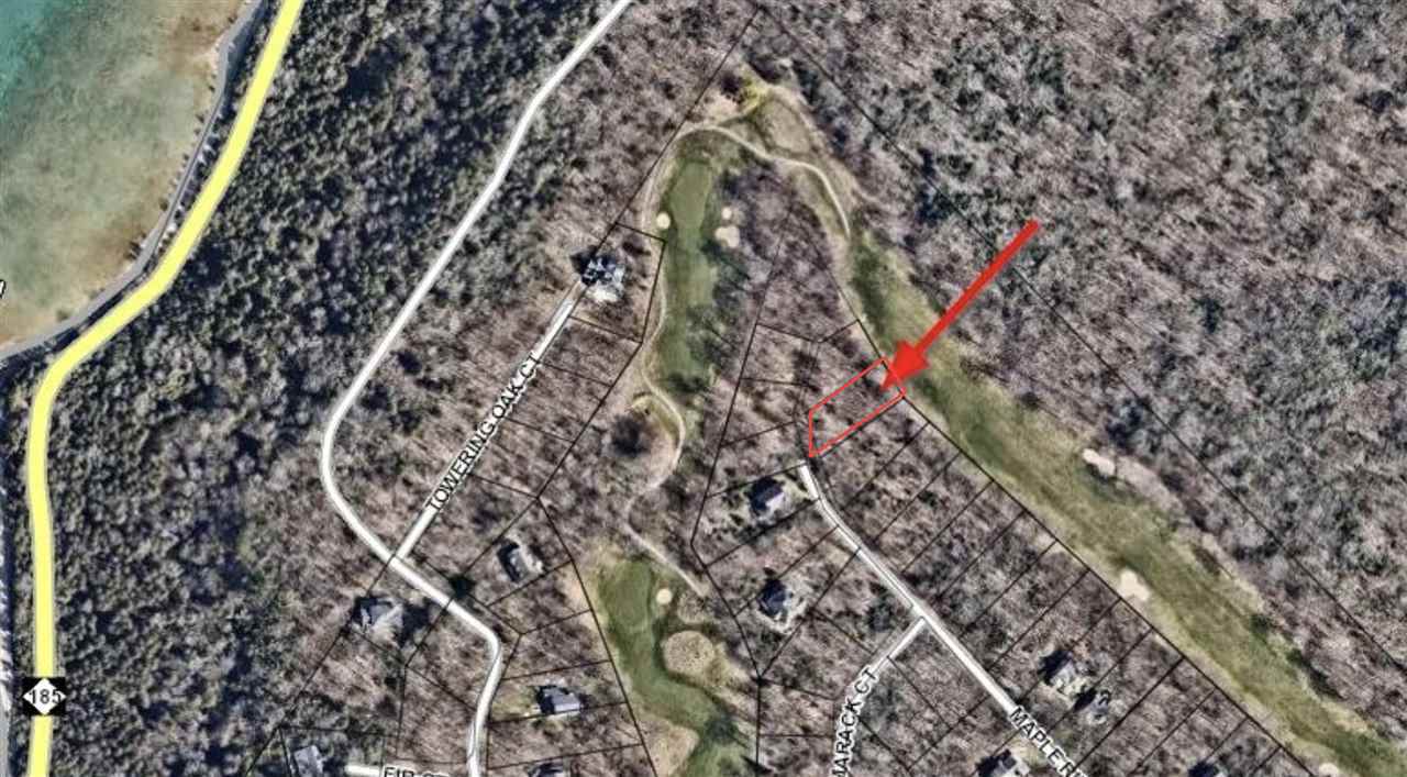 Lot 10 Maple Ridge Street Mackinac Island MI 49757