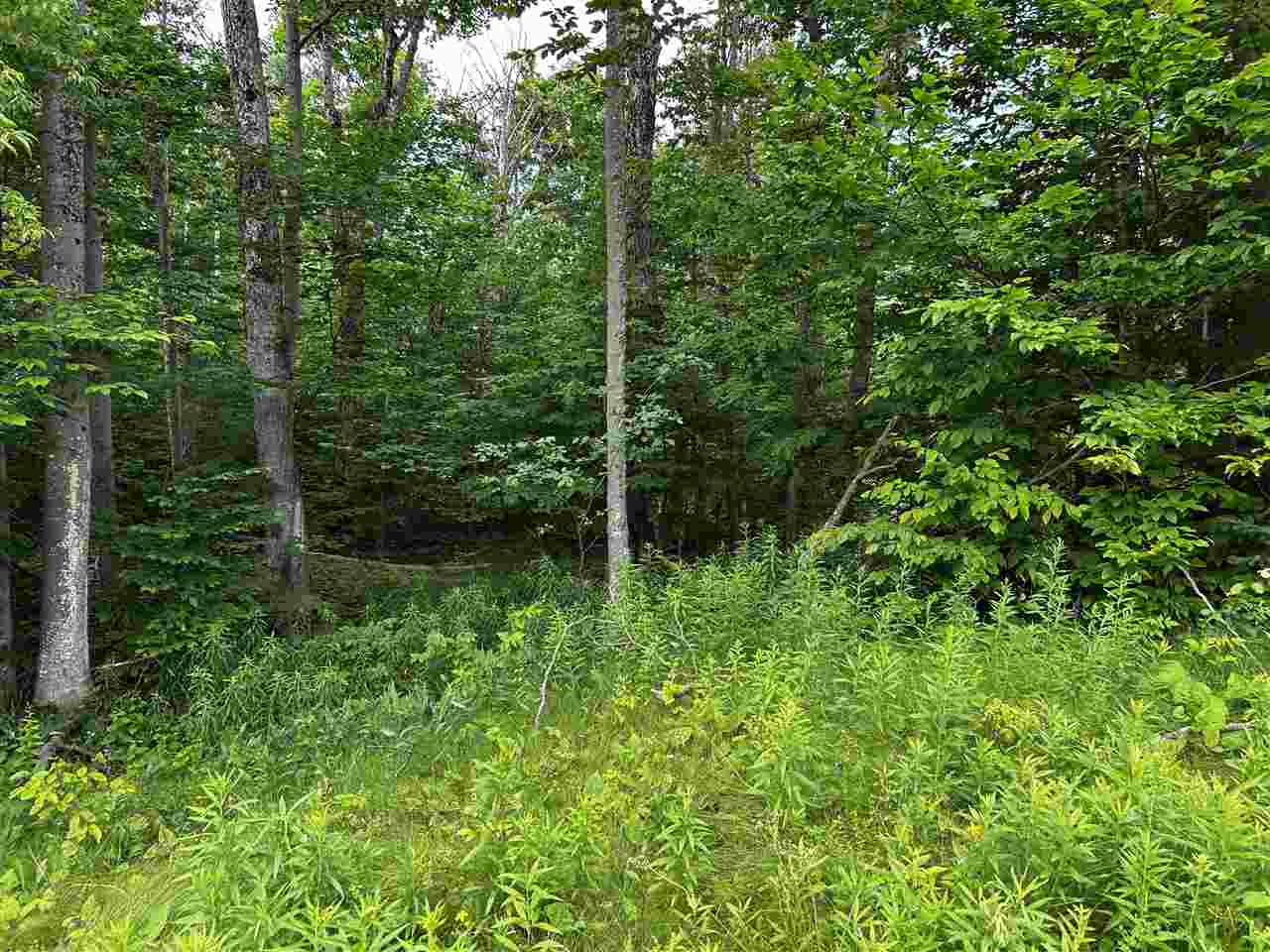 Lot 10 Maple Ridge Street Mackinac Island MI 49757