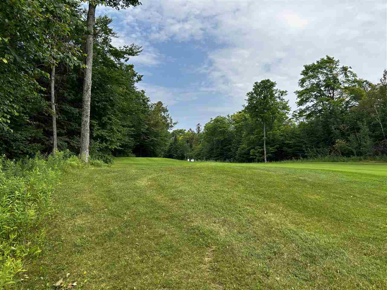 Lot 10 Maple Ridge Street Mackinac Island MI 49757