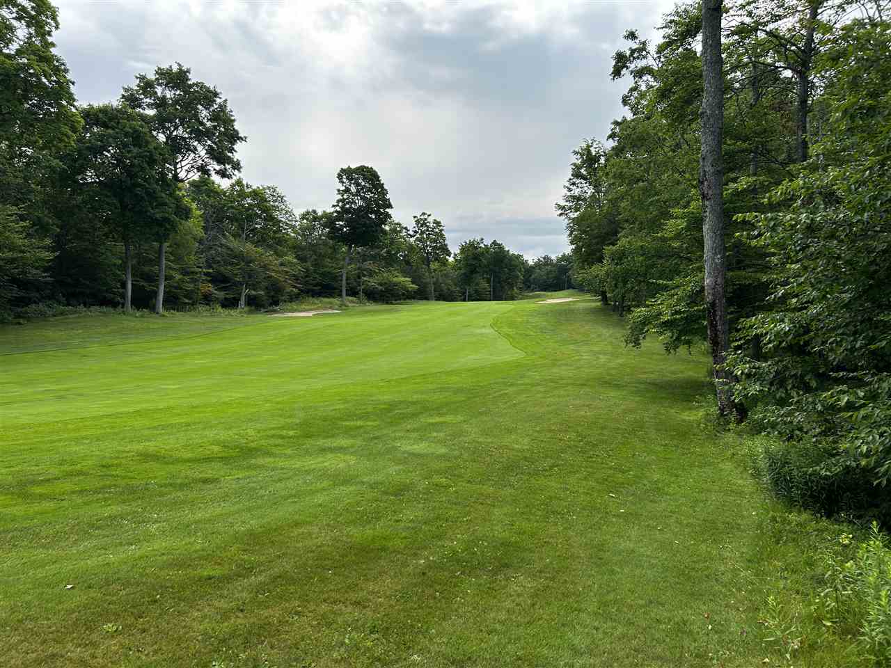 Lot 10 Maple Ridge Street Mackinac Island MI 49757