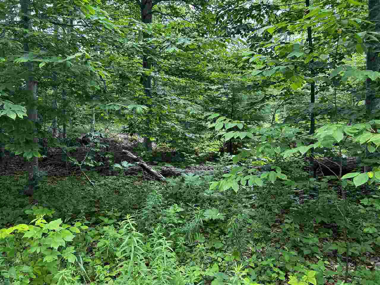 Lot 10 Maple Ridge Street Mackinac Island MI 49757