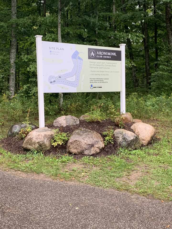 872 Aronimink Drive Harbor Springs MI 49740