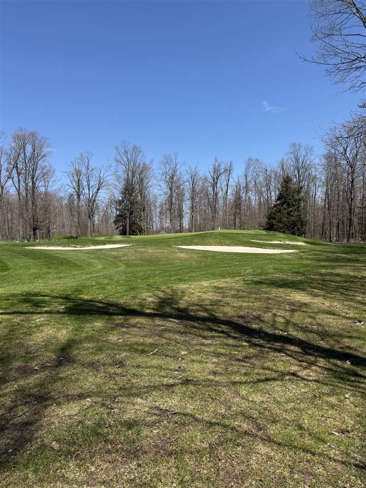 872 Aronimink Drive Harbor Springs MI 49740