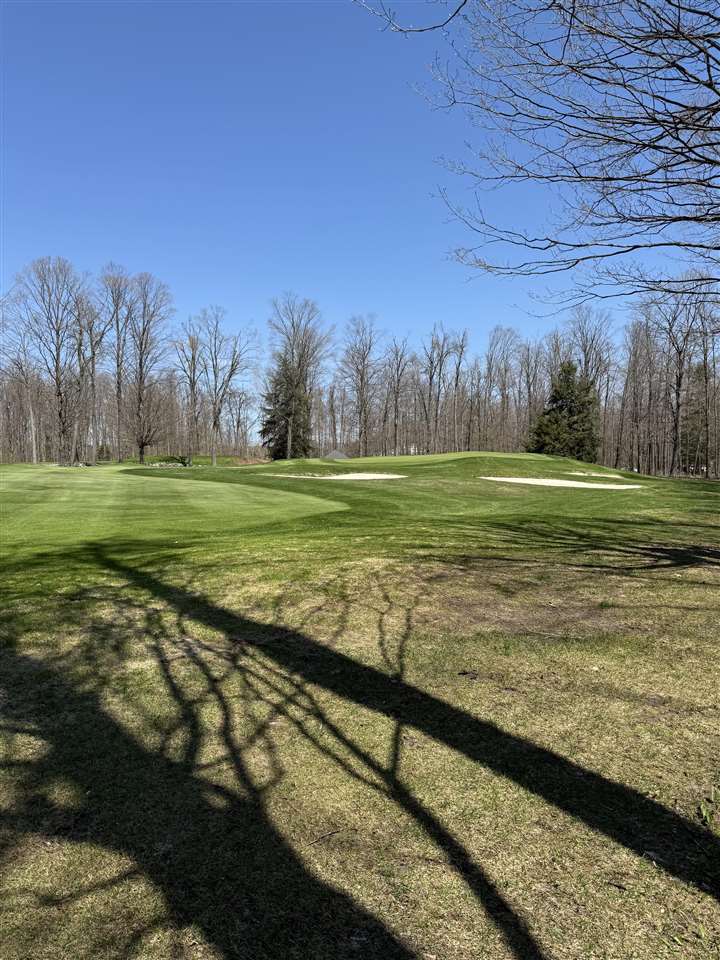 872 Aronimink Drive Harbor Springs MI 49740