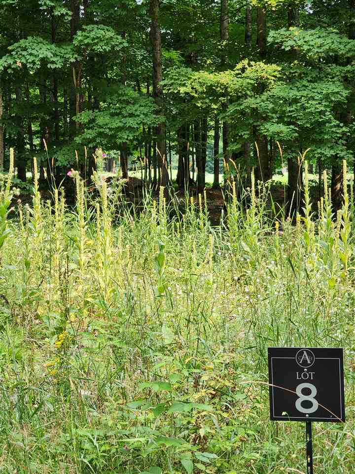 872 Aronimink Drive Harbor Springs MI 49740