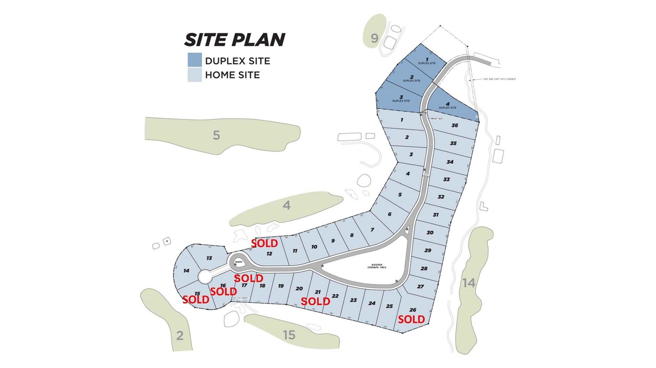 872 Aronimink Drive Harbor Springs MI 49740