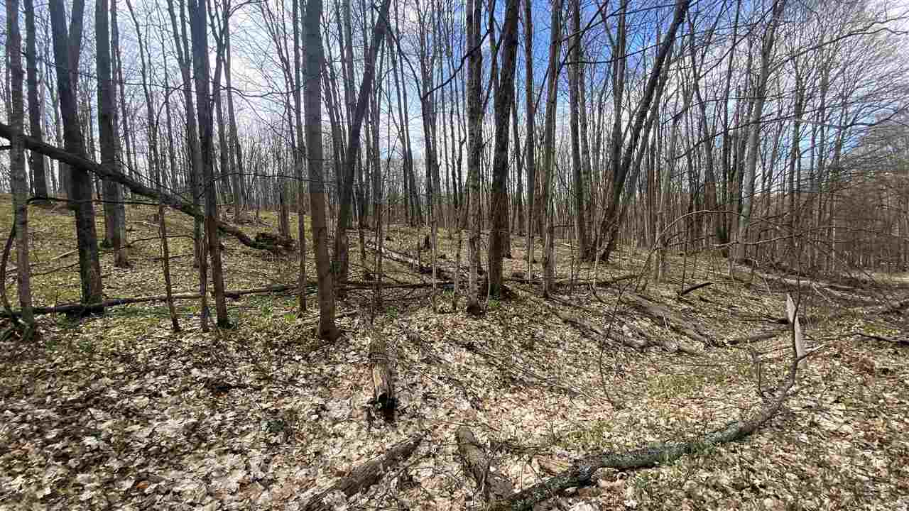 Lot 292-293 Jaeger Strasse Drive Bellaire MI 49615