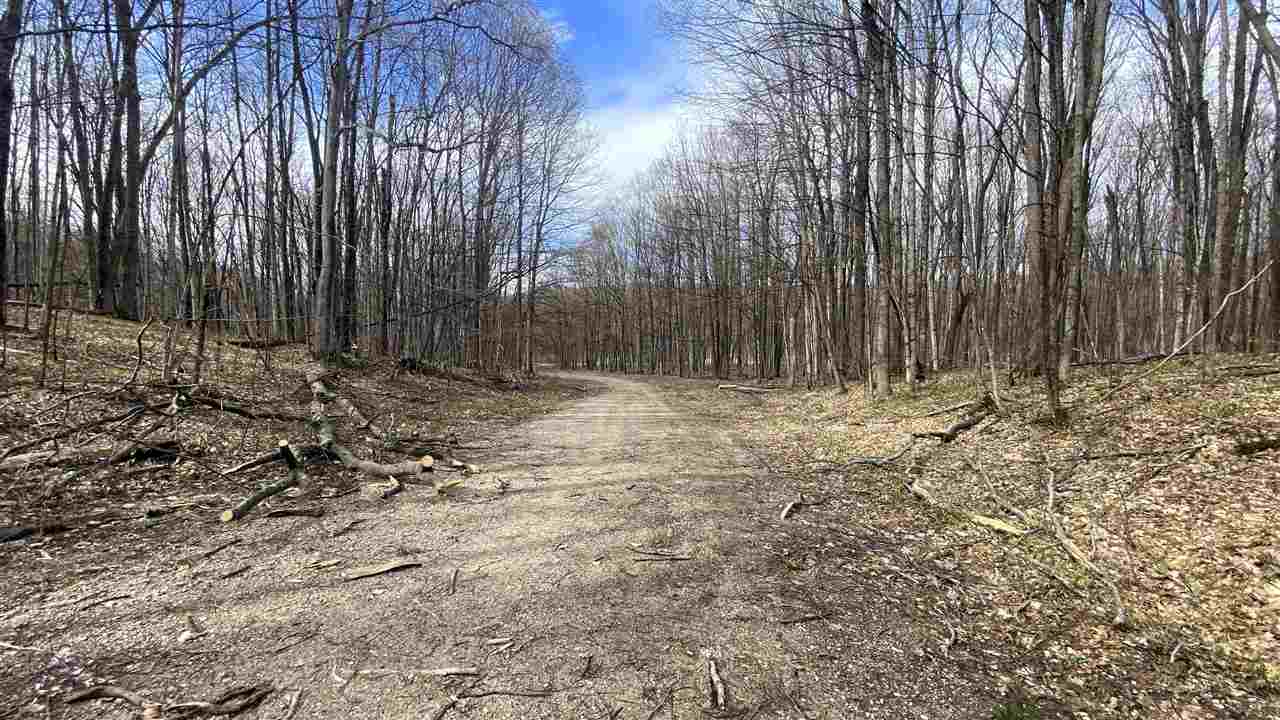 Lot 292-293 Jaeger Strasse Drive Bellaire MI 49615