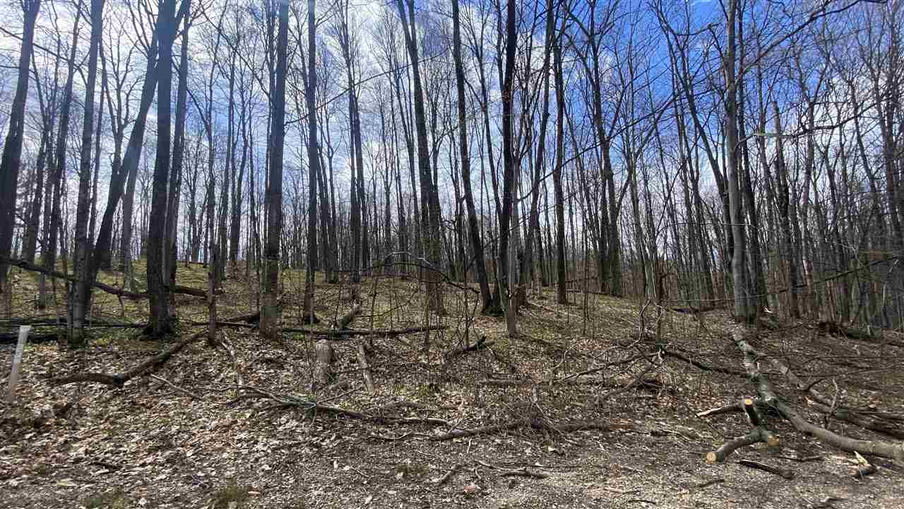 Lot 292-293 Jaeger Strasse Drive Bellaire MI 49615