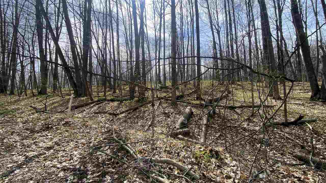 Lot 292-293 Jaeger Strasse Drive Bellaire MI 49615