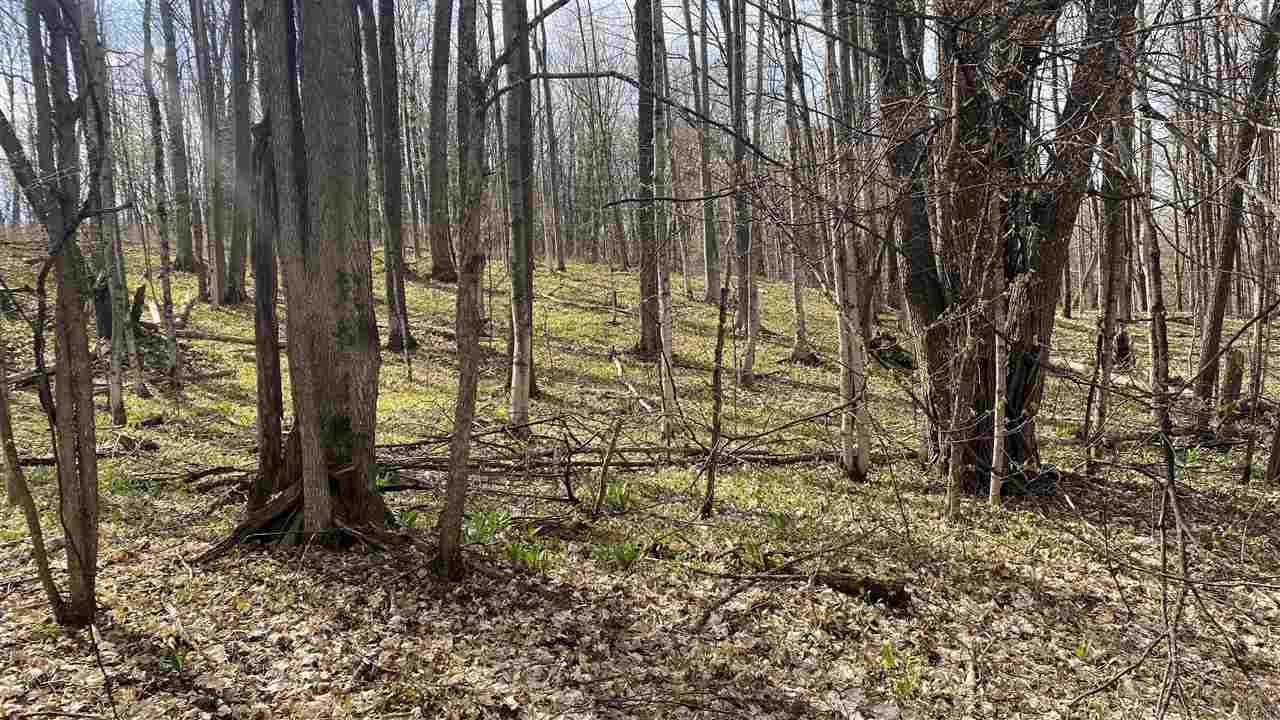 Lot 292-293 Jaeger Strasse Drive Bellaire MI 49615