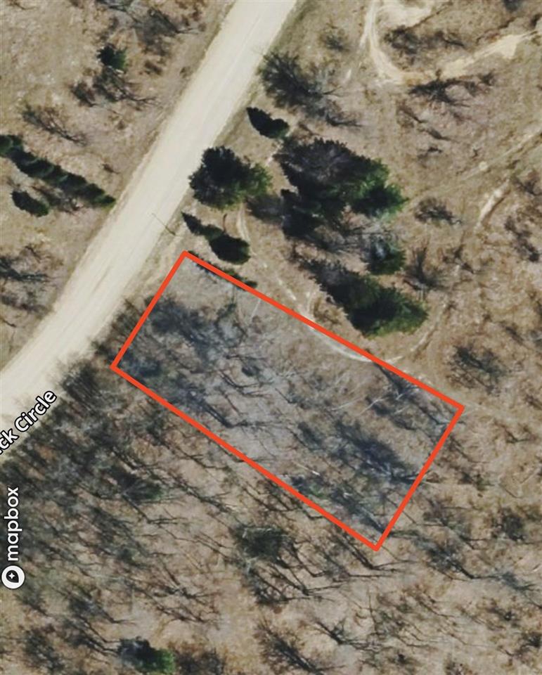 Lot 645 Renwick Circle Mancelona MI 49659