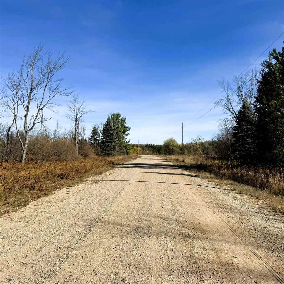Lot 645 Renwick Circle Mancelona MI 49659