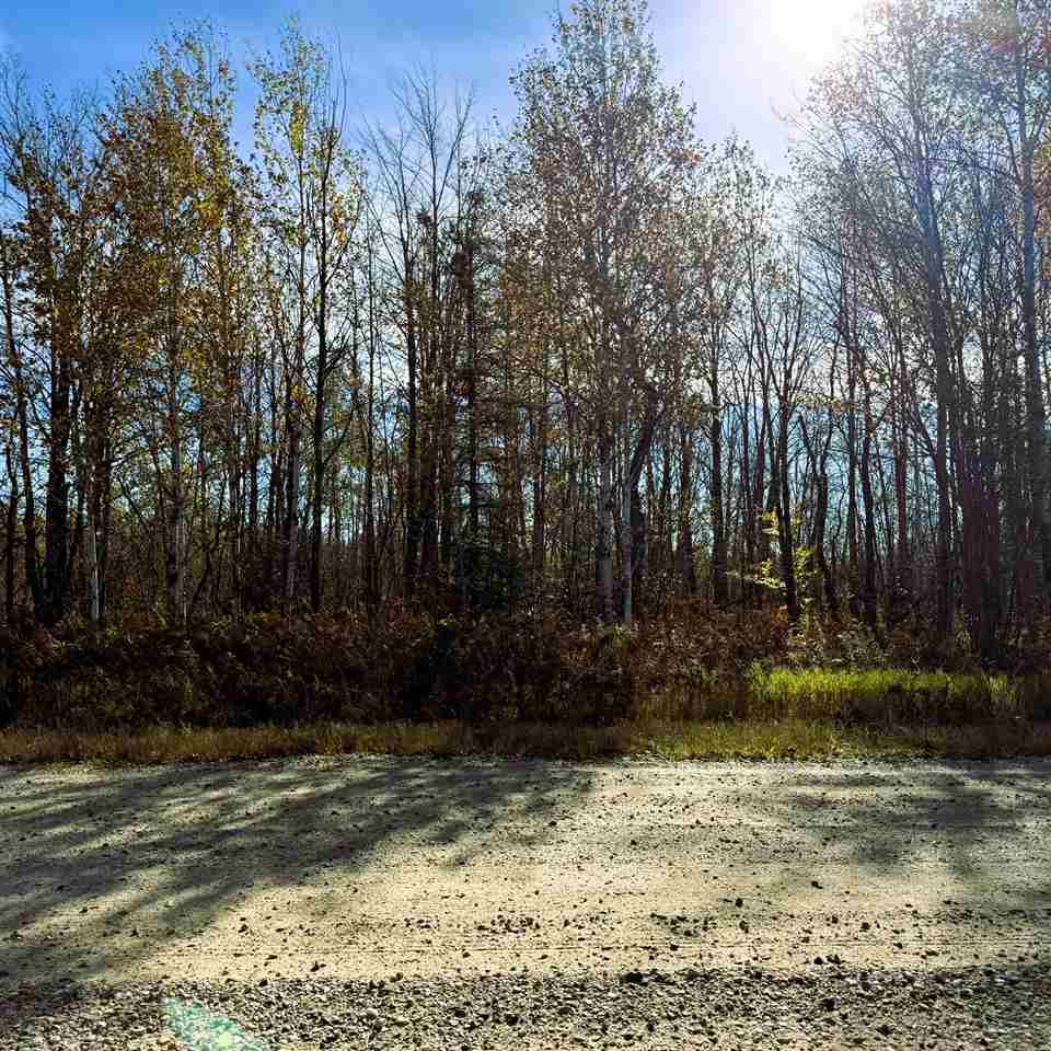 Lot 645 Renwick Circle Mancelona MI 49659