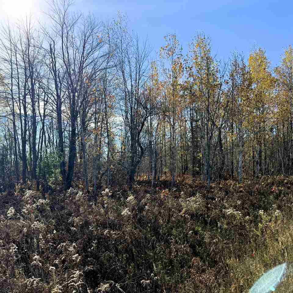 Lot 645 Renwick Circle Mancelona MI 49659