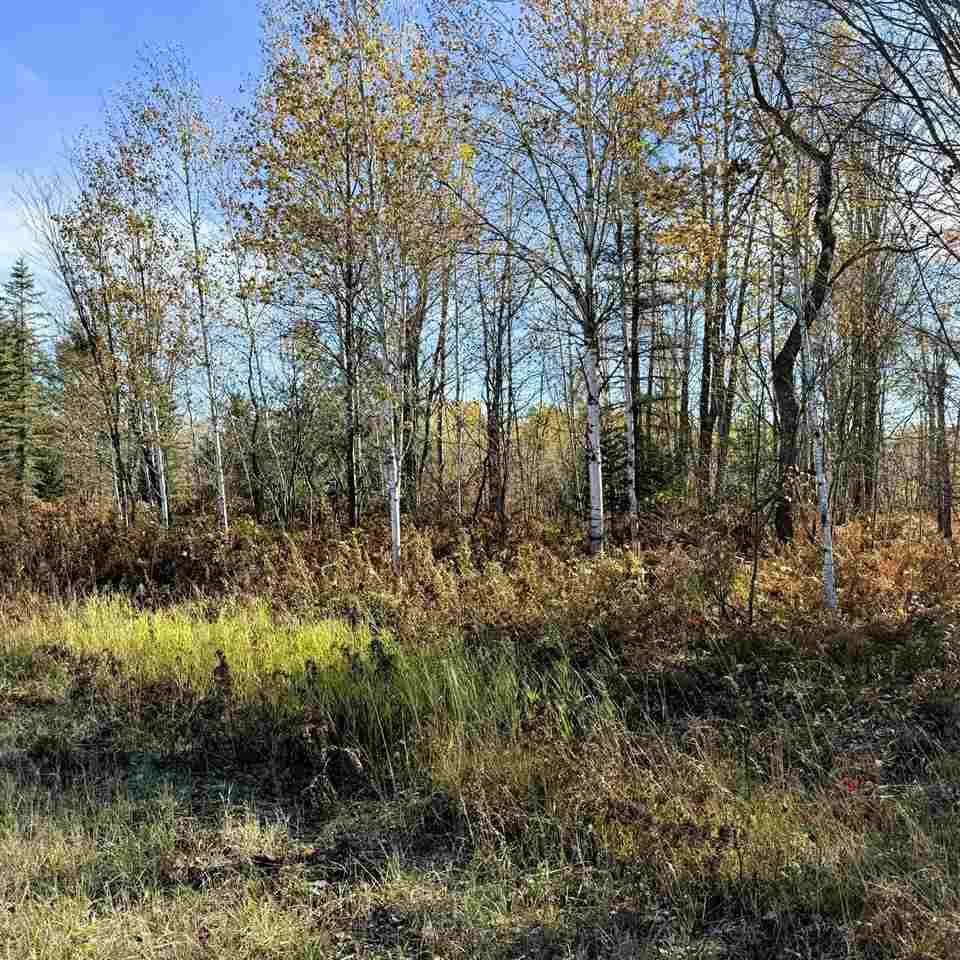 Lot 645 Renwick Circle Mancelona MI 49659