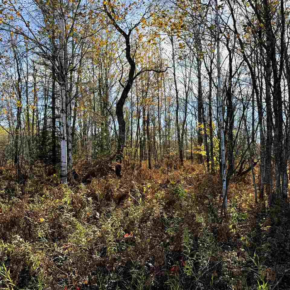 Lot 645 Renwick Circle Mancelona MI 49659