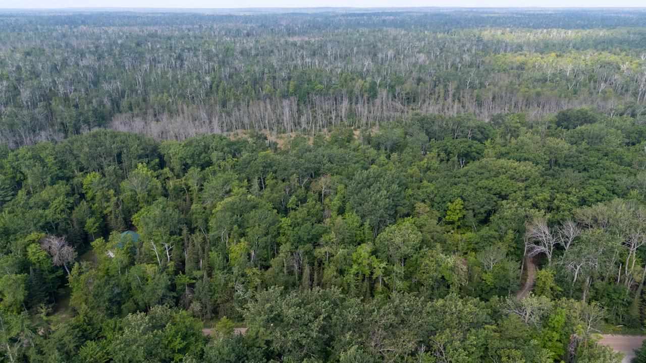 Tbd Lots 52-53 East Side Drive Beaver Island MI 49782