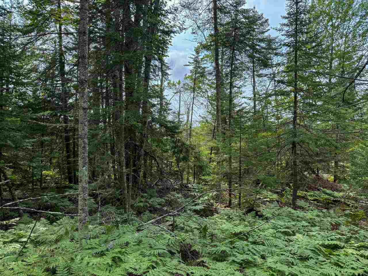 Tbd Lots 52-53 East Side Drive Beaver Island MI 49782