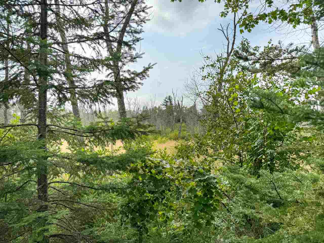 Tbd Lots 52-53 East Side Drive Beaver Island MI 49782