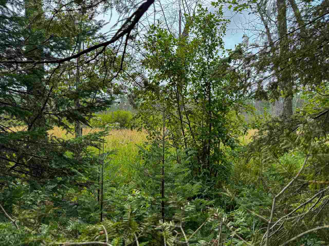 Tbd Lots 52-53 East Side Drive Beaver Island MI 49782