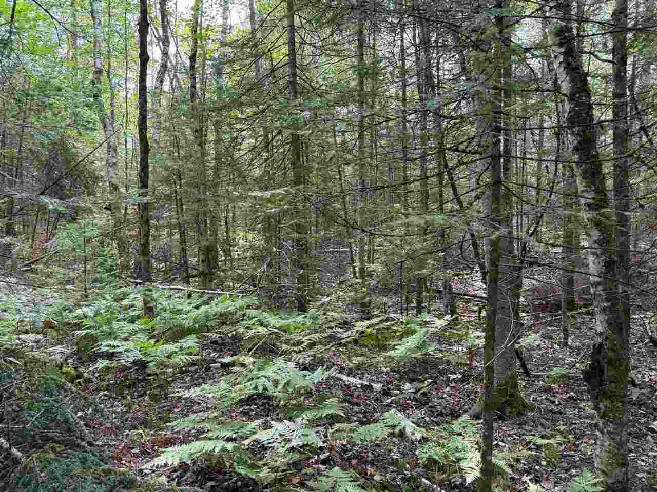 Tbd Lots 52-53 East Side Drive Beaver Island MI 49782