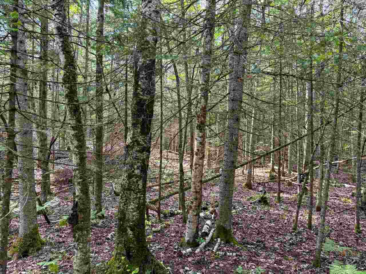 Tbd Lots 52-53 East Side Drive Beaver Island MI 49782