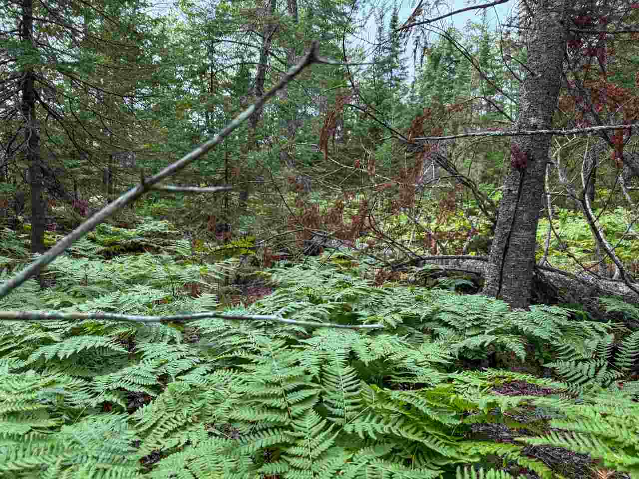 Tbd Lots 52-53 East Side Drive Beaver Island MI 49782