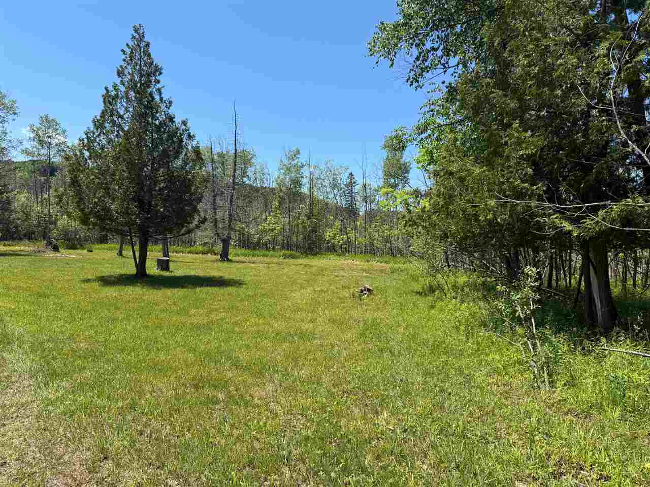 6263 East Jordan Road Ellsworth MI 49729