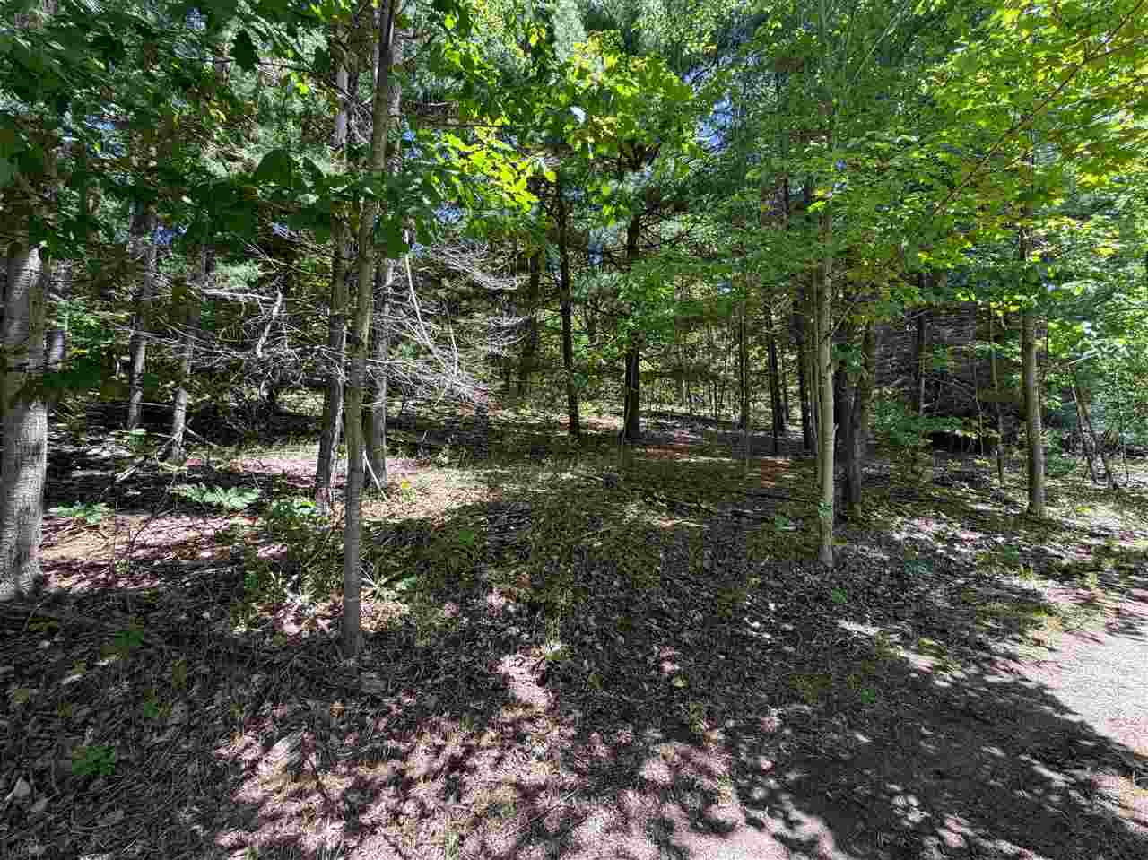 6263 East Jordan Road Ellsworth MI 49729