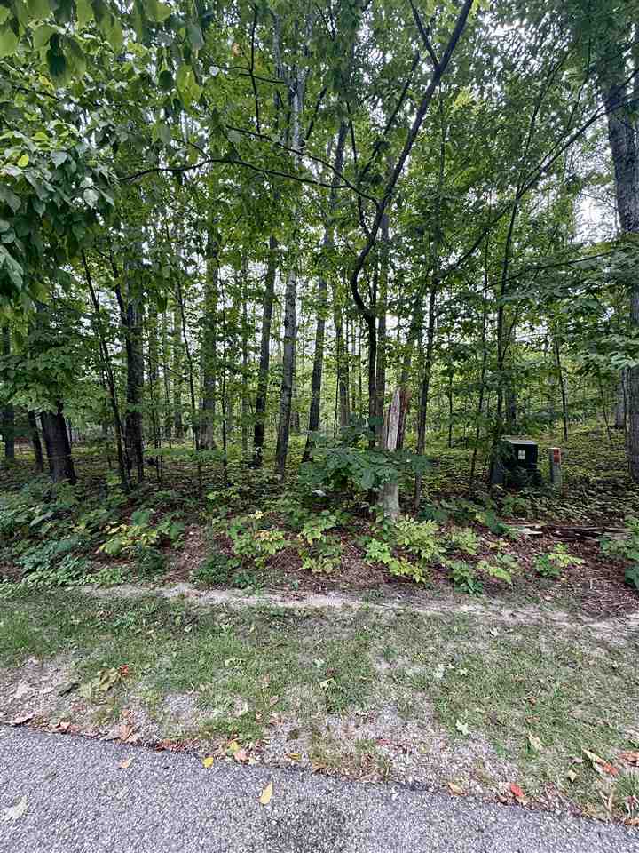 Tbd Meadow Wood Drive Harbor Springs MI 49740