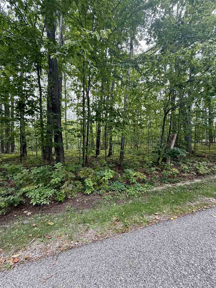 Tbd Meadow Wood Drive Harbor Springs MI 49740