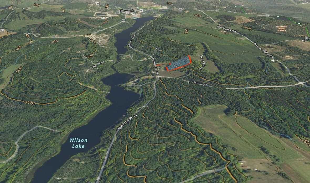 Tbd Rushton Road Ellsworth MI 49729