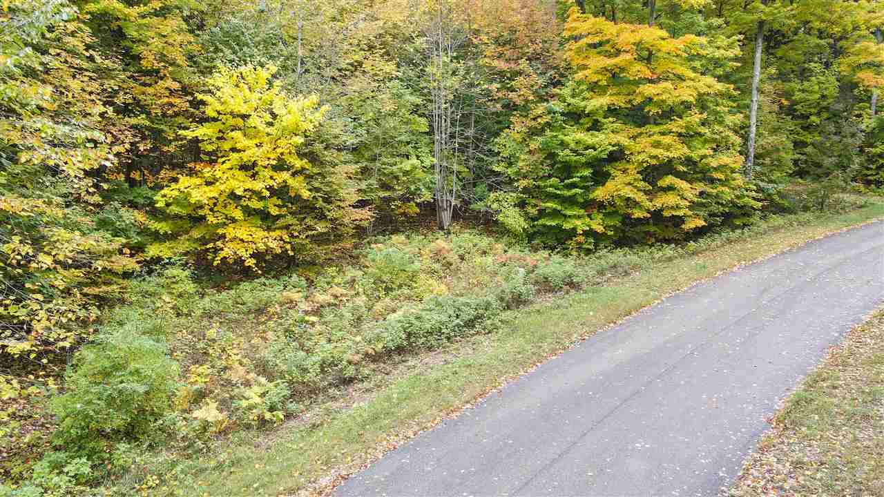 3395 Needles Drive Harbor Springs MI 49740