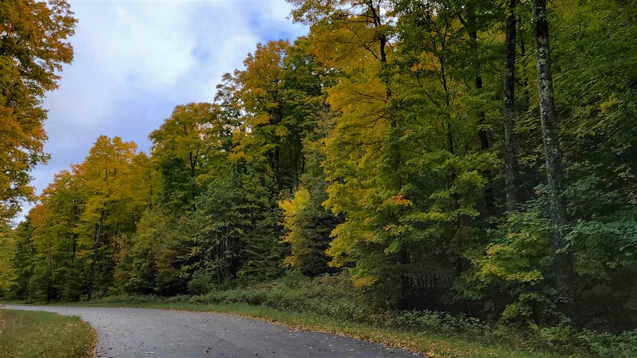 3395 Needles Drive Harbor Springs MI 49740