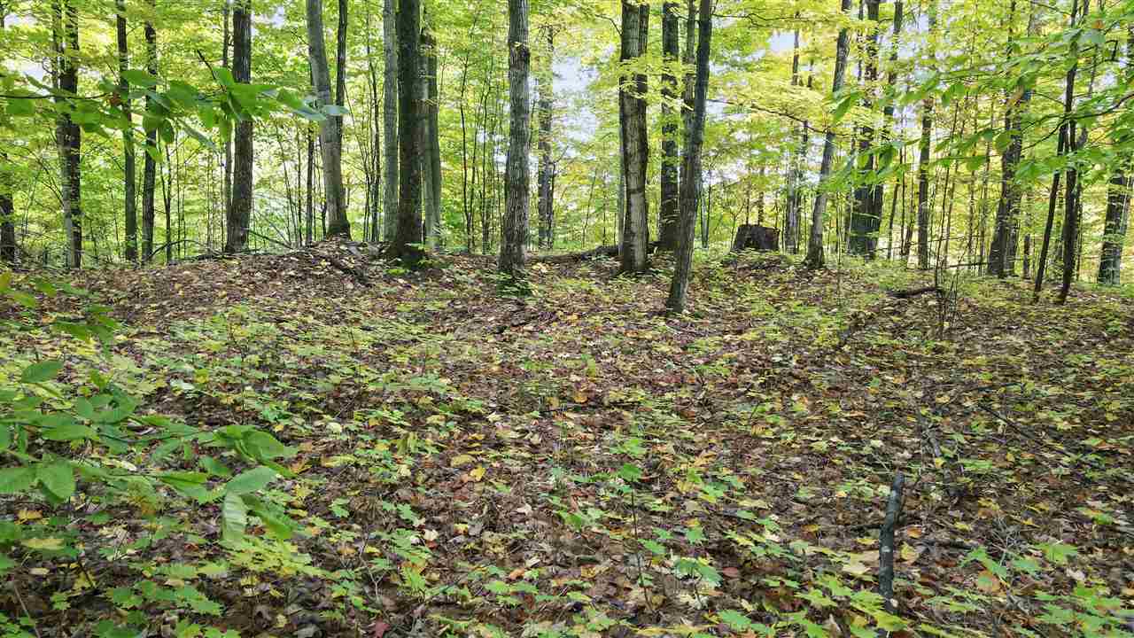 3395 Needles Drive Harbor Springs MI 49740