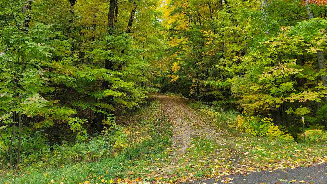 3395 Needles Drive Harbor Springs MI 49740