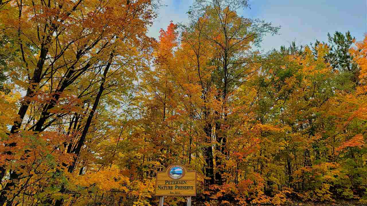 3395 Needles Drive Harbor Springs MI 49740