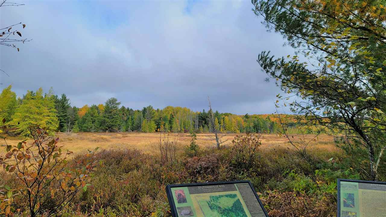 3395 Needles Drive Harbor Springs MI 49740