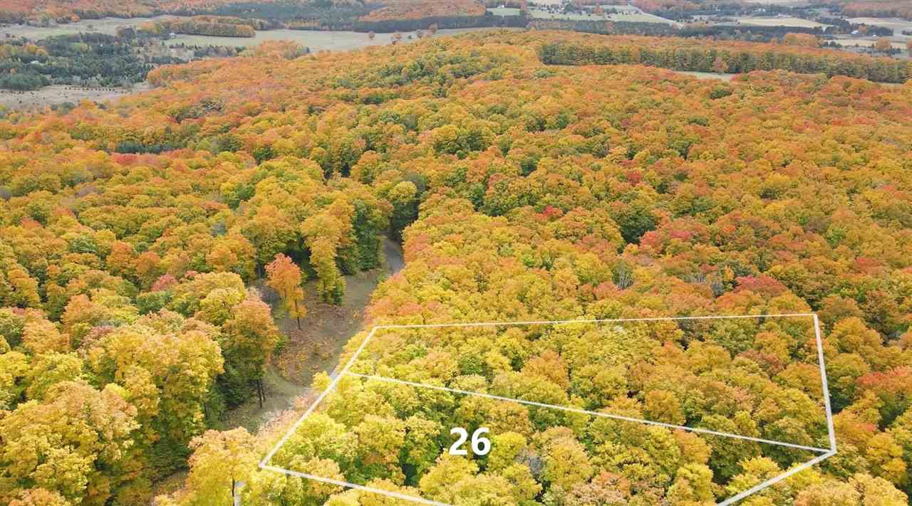 3395 Needles Drive Harbor Springs MI 49740