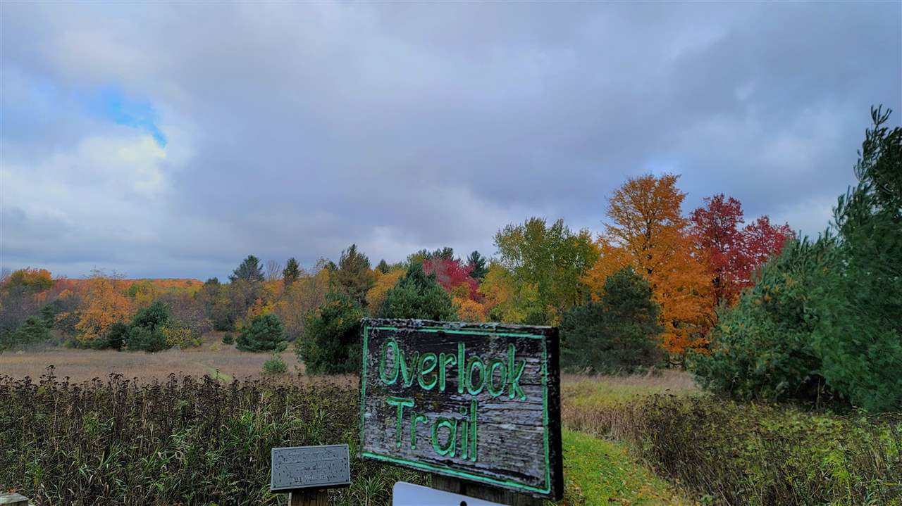 3395 Needles Drive Harbor Springs MI 49740