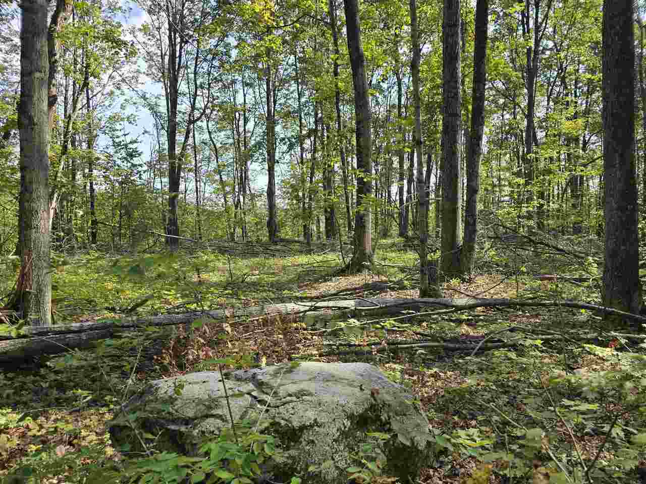 3395 Needles Drive Harbor Springs MI 49740