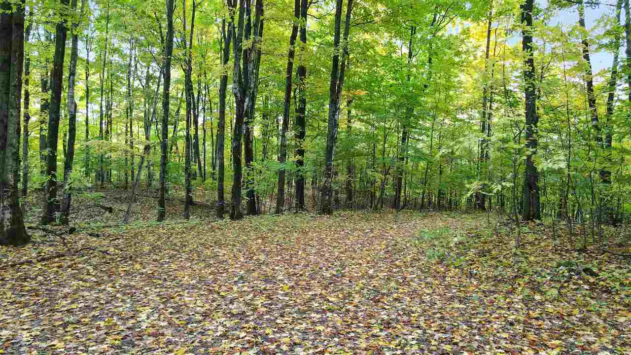 3395 Needles Drive Harbor Springs MI 49740